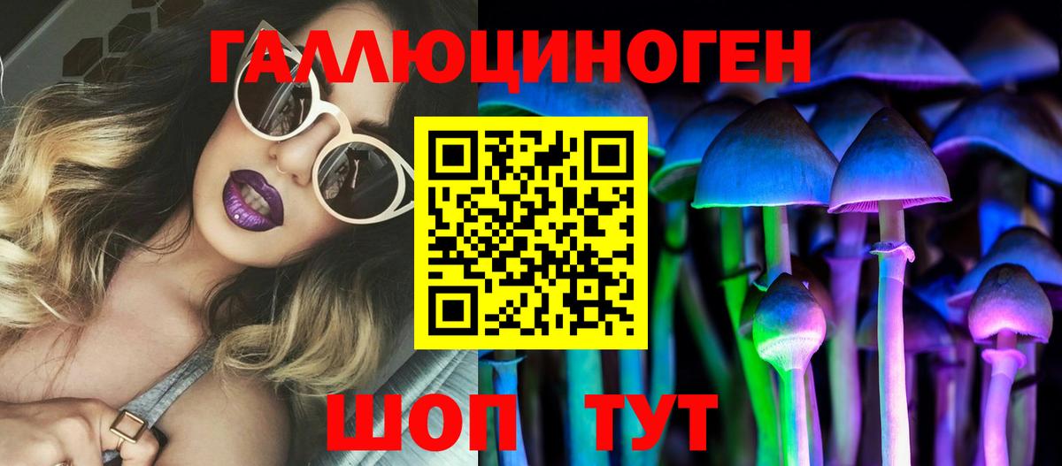 Псилоцибиновые грибы мицелий Киселёвск