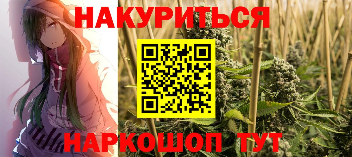 Конопля планчик Киселёвск